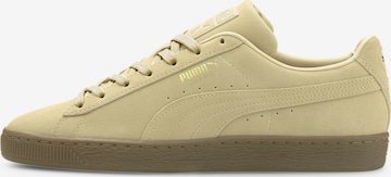 Baskets basses PUMA en beige : devant