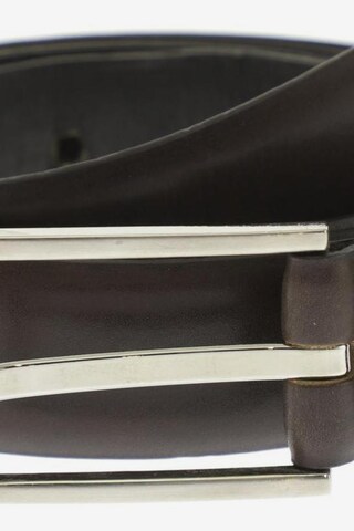 CINQUE Belt & Suspenders in One size in Brown