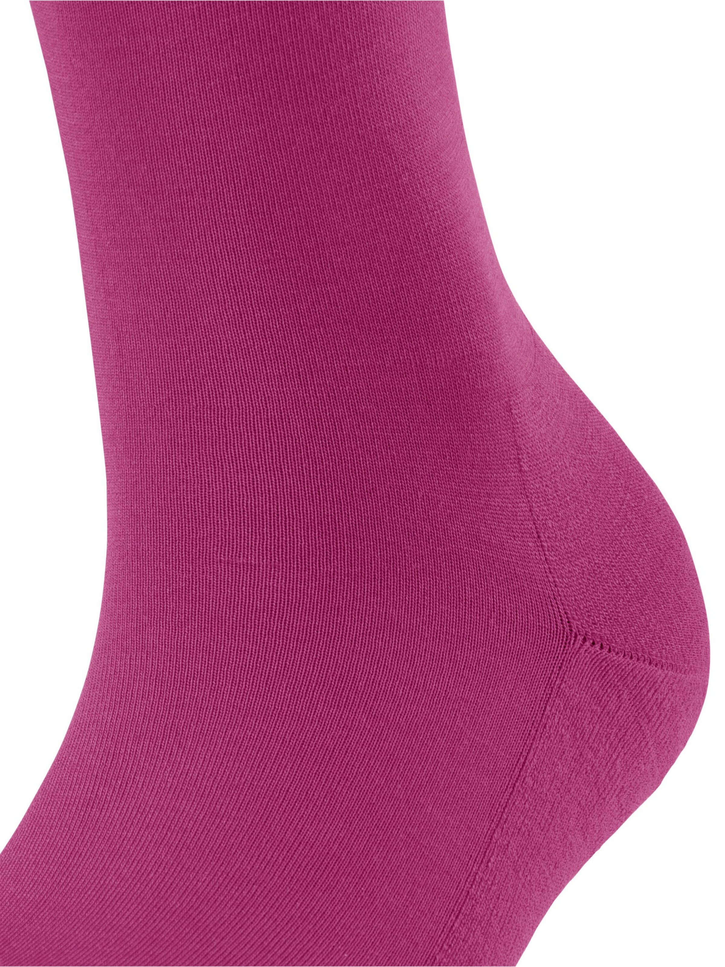 FALKE Kniestrümpfe 'ClimaWool'‌‌ in Lila