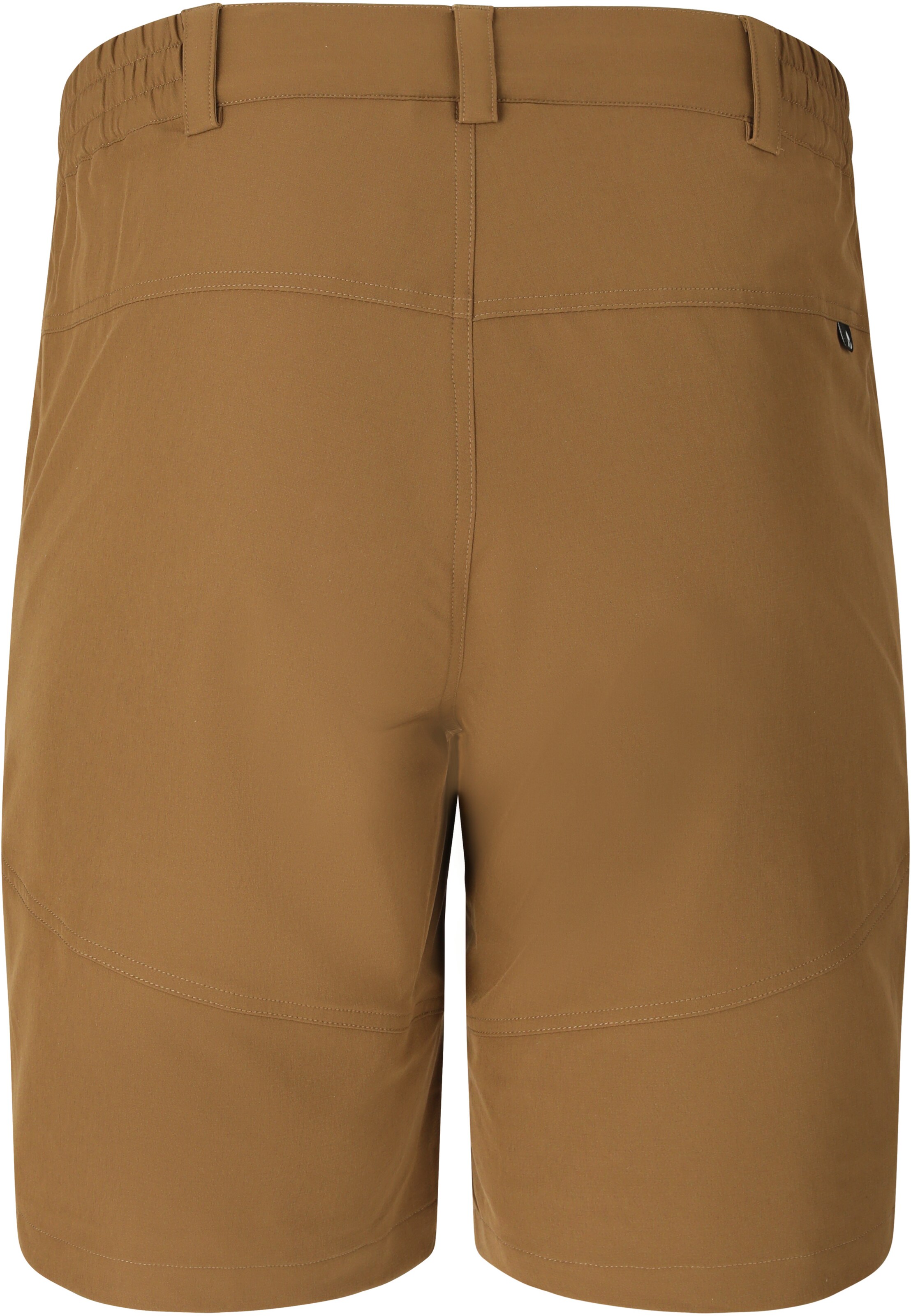 Whistler Regular Workout Pants 'AVIAN' in Brown