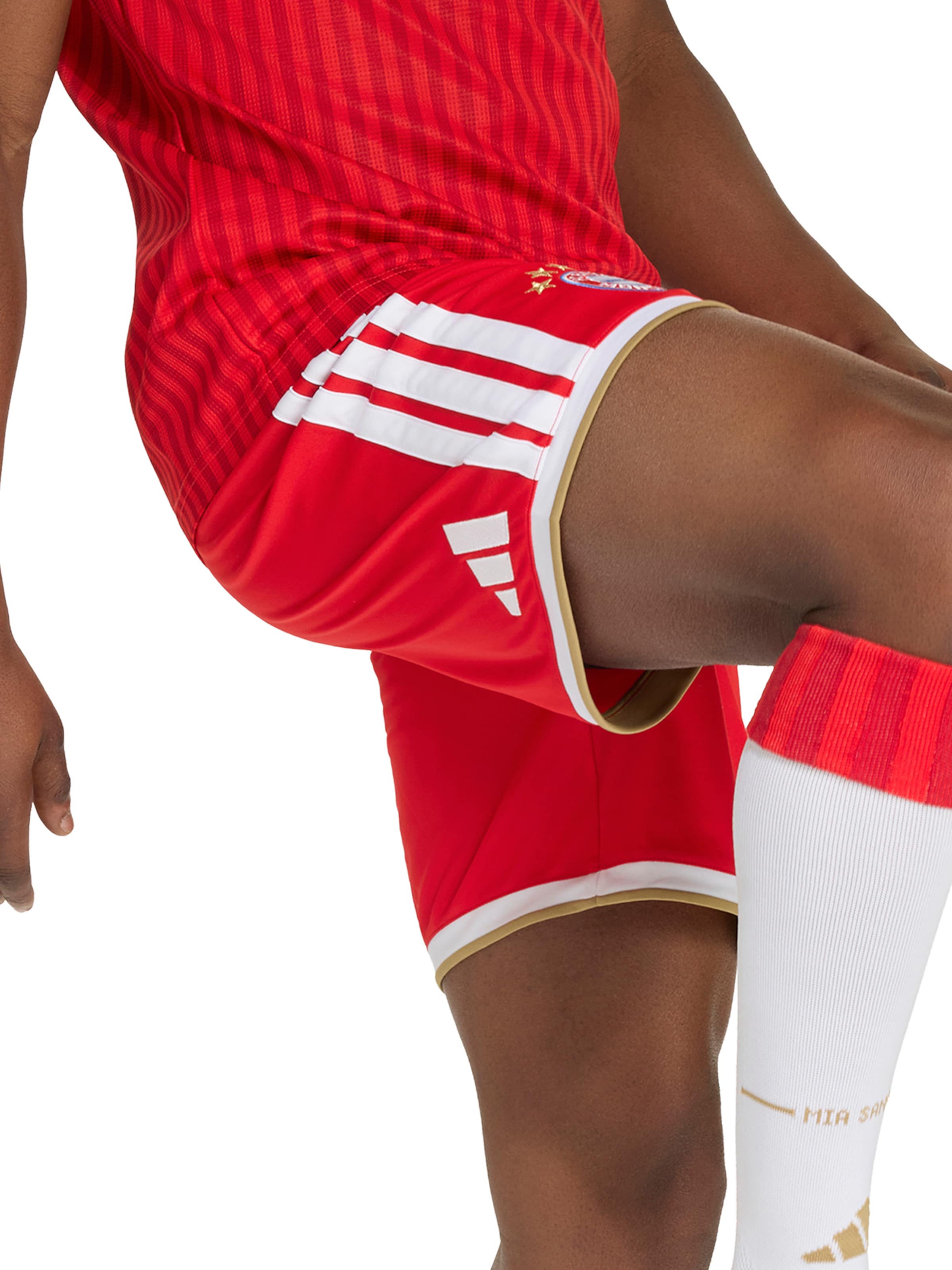 ADIDAS PERFORMANCE regular Παντελόνι φόρμας 'FC Bayern München 26/27' σε κόκκινο