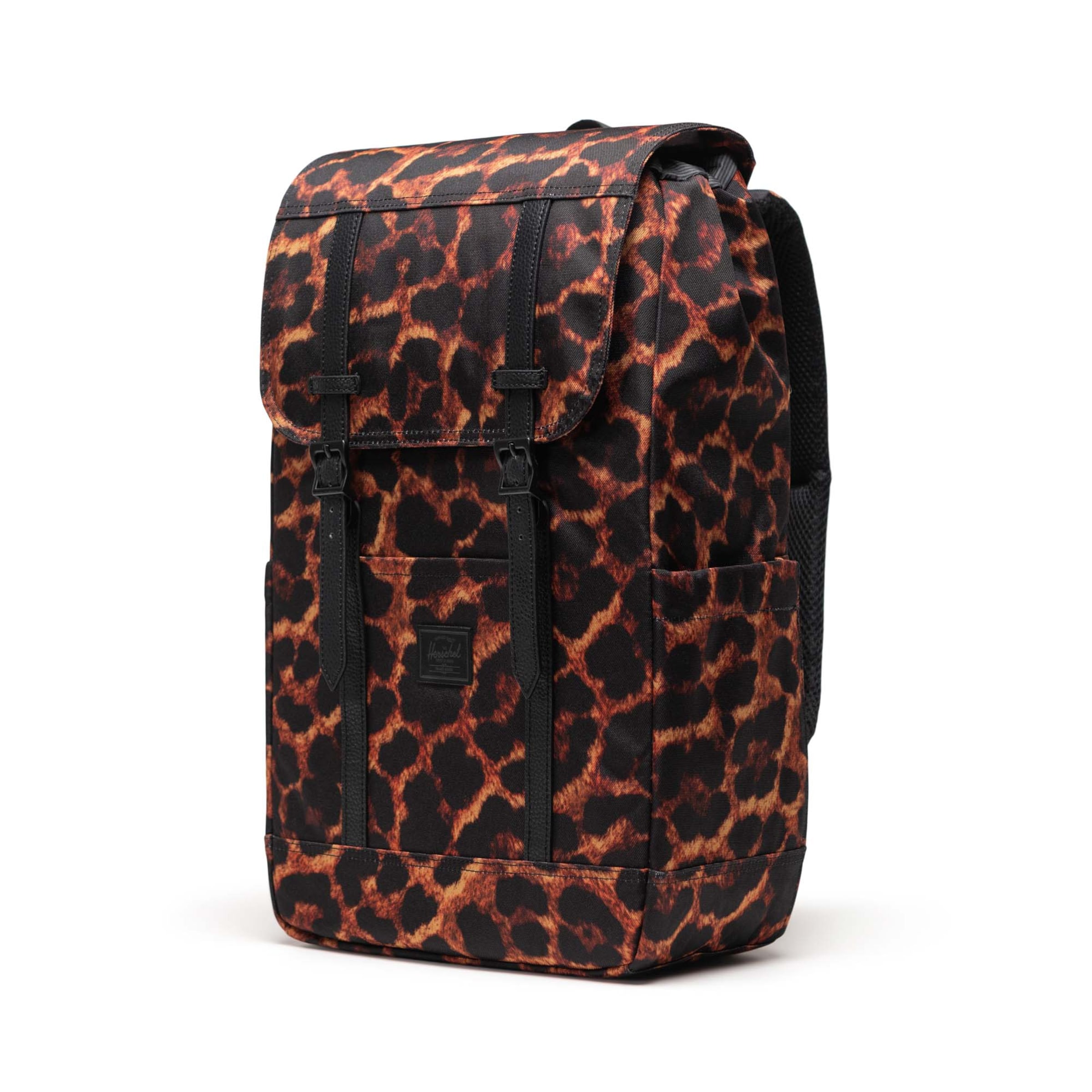 Herschel Рюкзак 'Retreat' в Коричневый