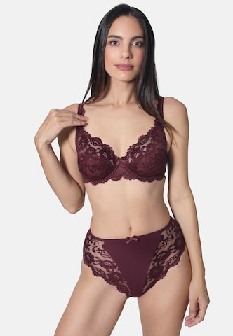 sassa Triangle Bra in Purple: front