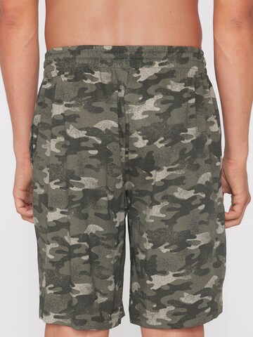 Tezenis Regular Pants in Green