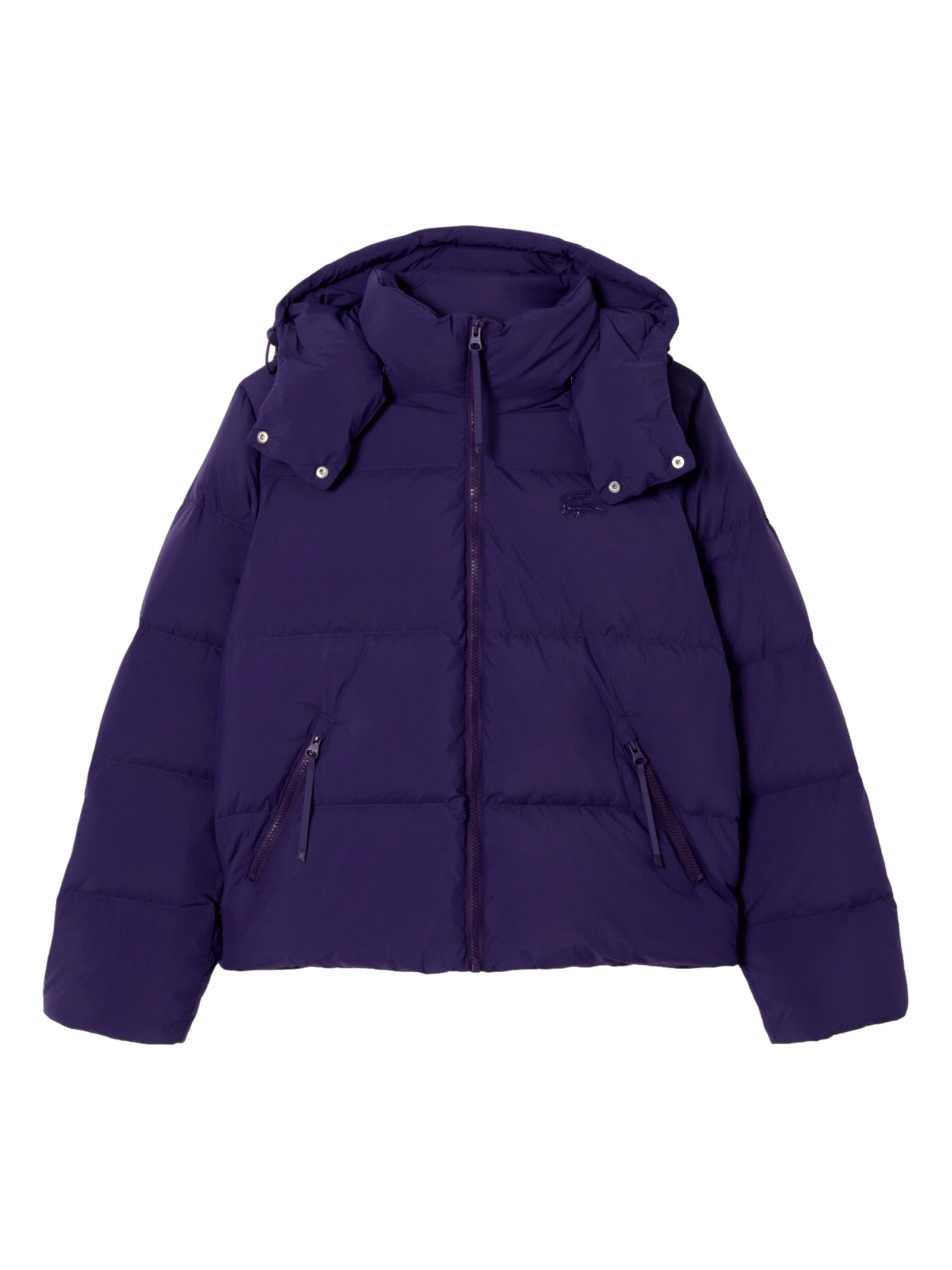 Giacca invernale LACOSTE di colore lilla, Visualizzazione prodotti