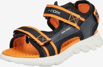 GEOX Sandalen in Oranje: voorkant