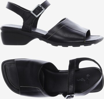 ECCO Sandals & High-Heeled Sandals in 37,5 in Black: front