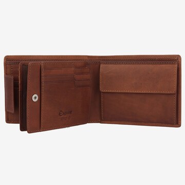 Esquire Wallet 'Dallas' in Brown