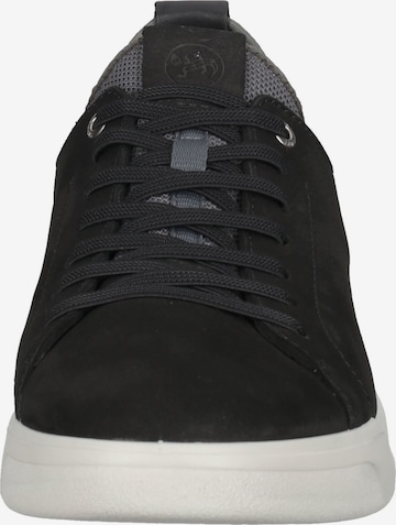 SALAMANDER Sneakers in Black