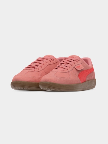 PUMA - Sapatilhas baixas 'Palermo' em rosa