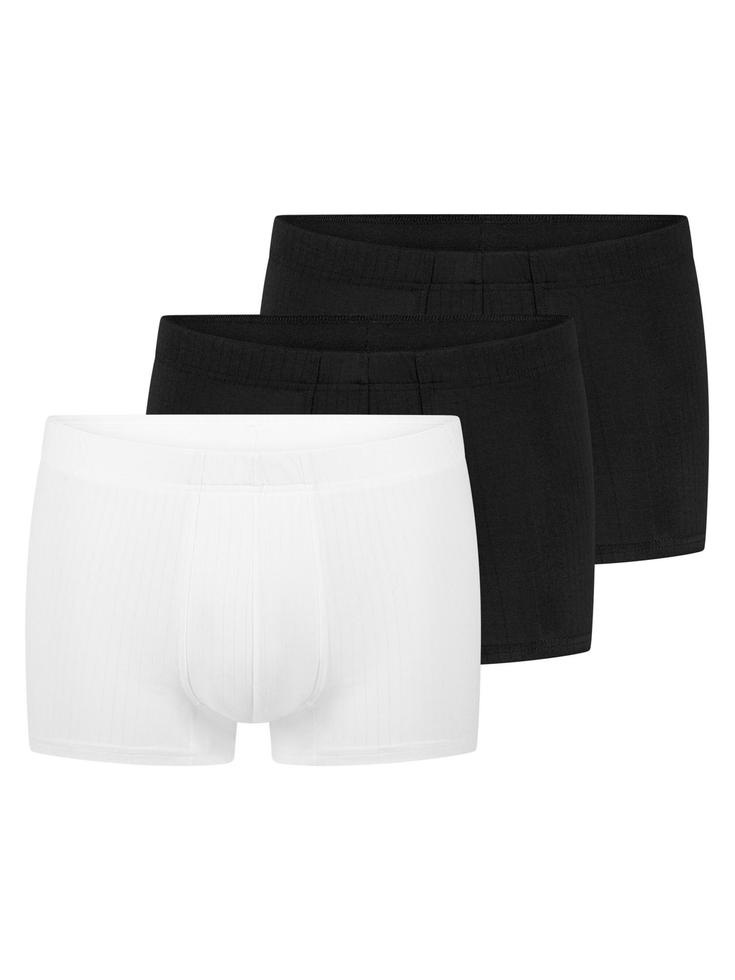 SPEIDEL Boxer shorts 'Sky.line' in White: front