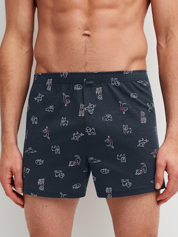 CALIDA Boxershorts 'Family & Friends' in Zwart