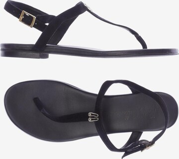 PRETTY BALLERINAS Sandals & High-Heeled Sandals in 37 in Black: front