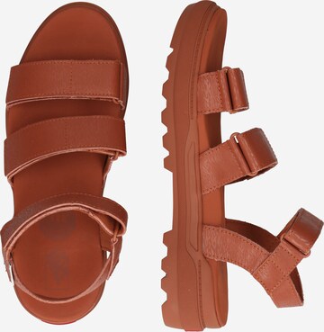 VANS Sandals 'Colfax' in Brown