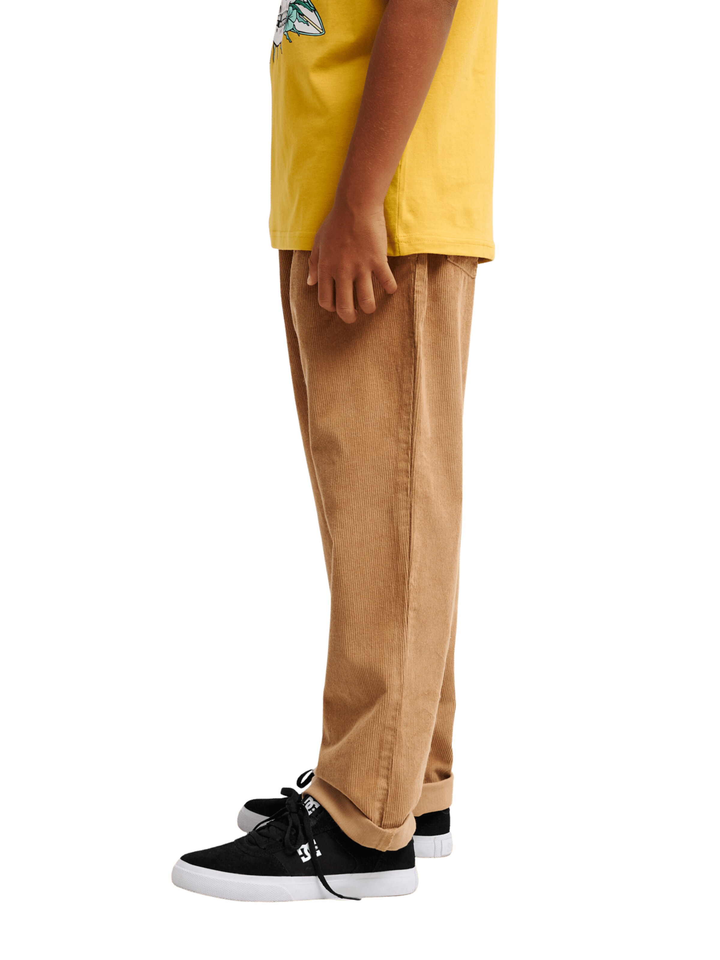 QUIKSILVER Regular Pants 'Taxer' in Brown