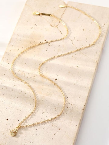 Hey Happiness - Cadena 'Anchor Sparkle' en oro