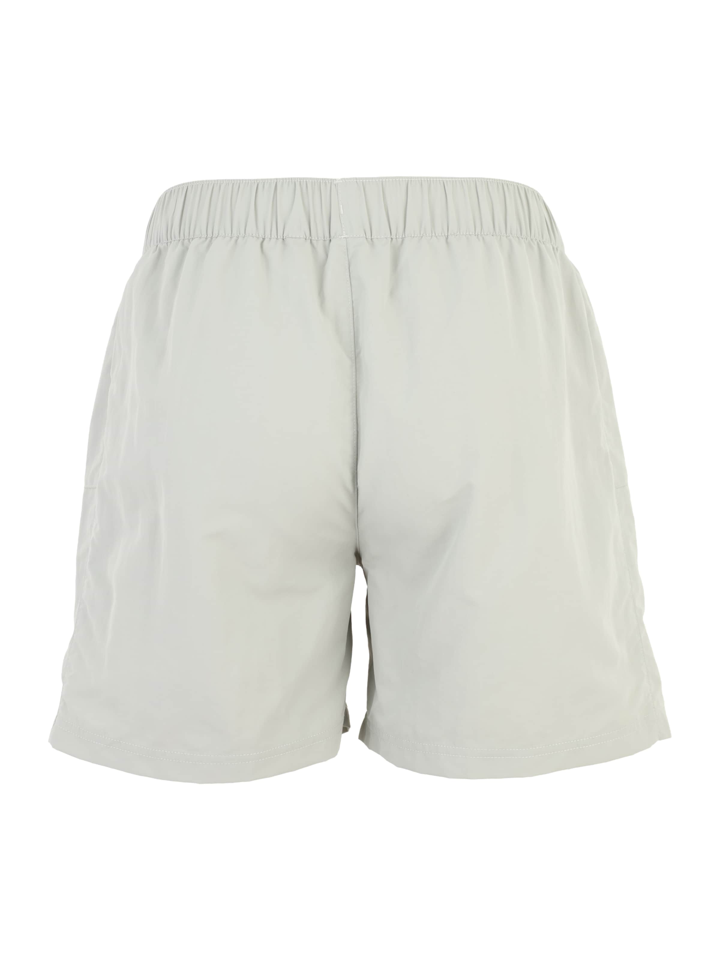 ELLESSE Uimashortsit 'Alenza' värissä harmaa