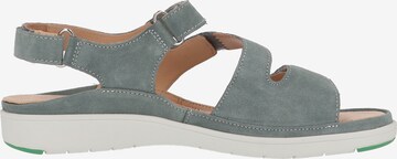 Ganter Sandals in Grey