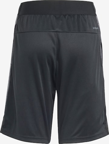 ADIDAS SPORTSWEAR Regular Workout Pants in Black