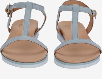 Apple of Eden Strap Sandals 'DANA' in Blue