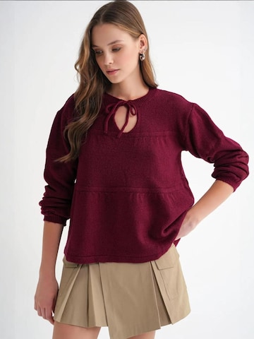Pull-over 'Pullover' MixRay en rouge