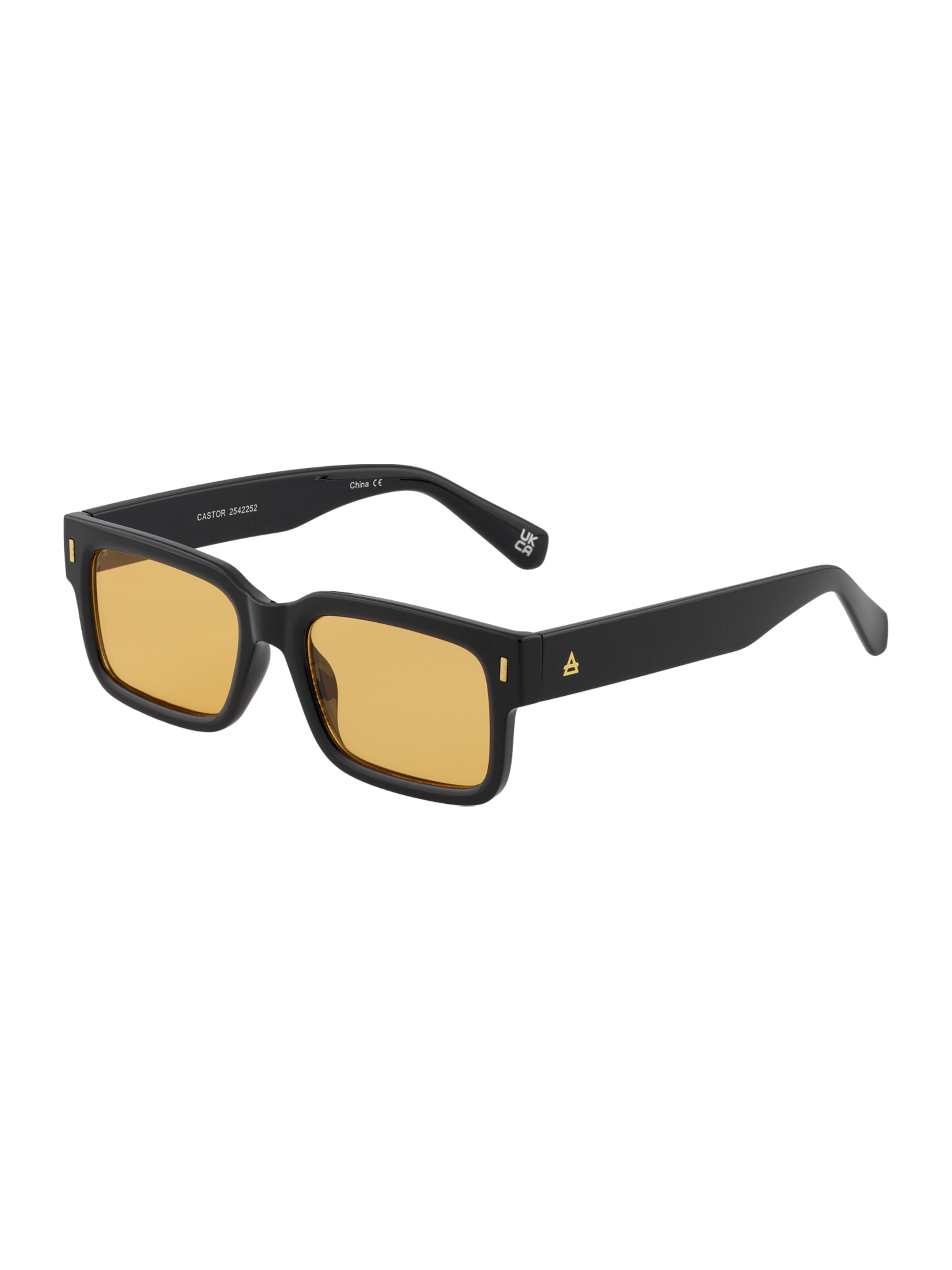 Aire Sunglasses 'CASTOR' in Black: front