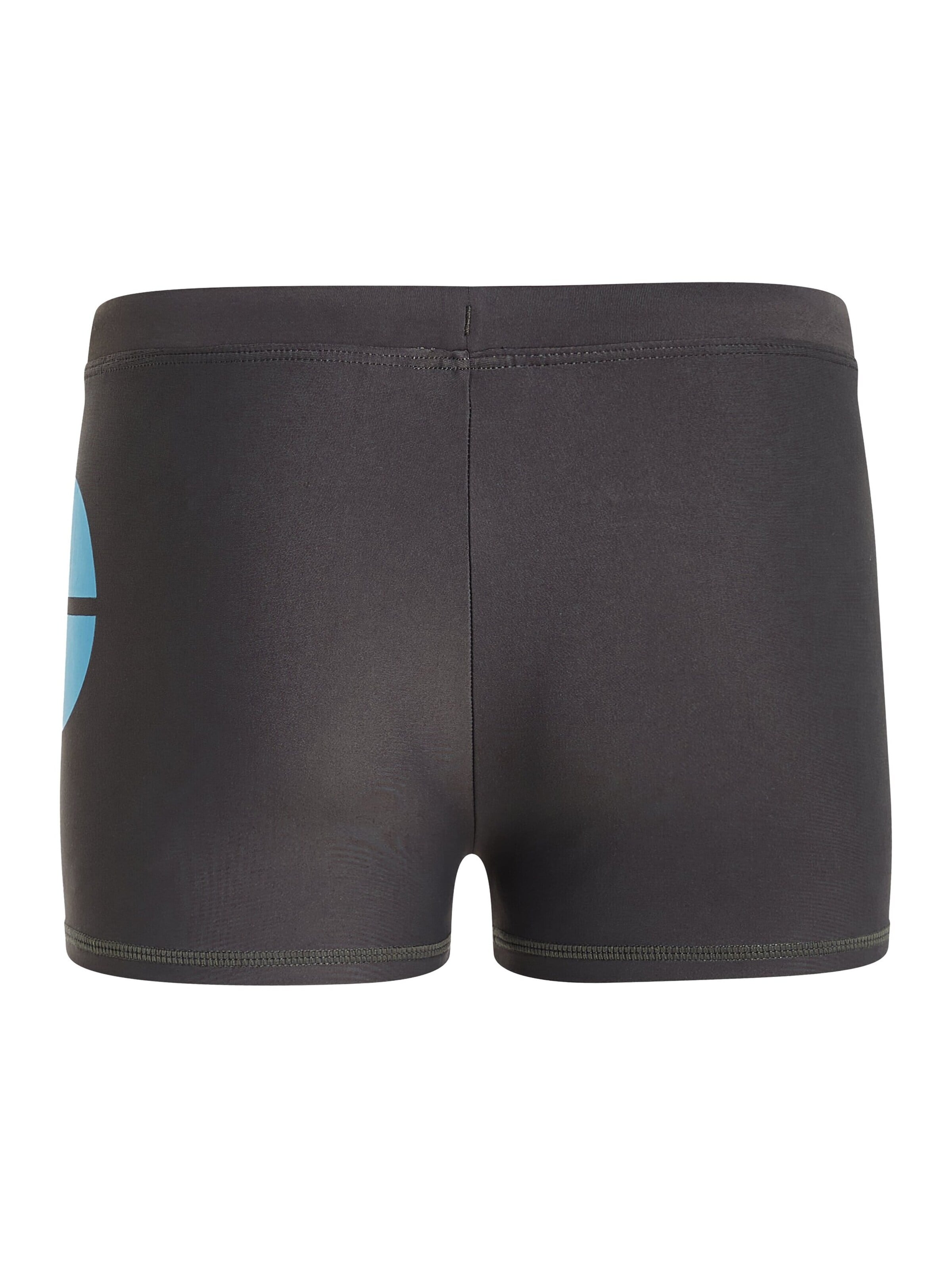 PROTEST Badeshorts 'CARST JR'‌ in Blau: Vorderseite