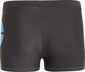 PROTEST Badeshorts 'CARST JR' in Blau: Vorderseite