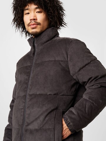 HOLLISTER Зимняя куртка в Серый