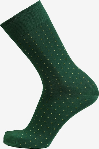Chaussettes ''MARCO bright blue viscose polka dot socks'' Sokisahtel en vert : devant