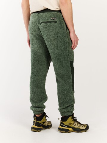 PROTEST Regular Trousers 'PRTRisk' in Green