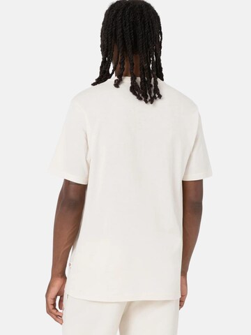 Maglietta 'MAPLETON' di DICKIES in beige