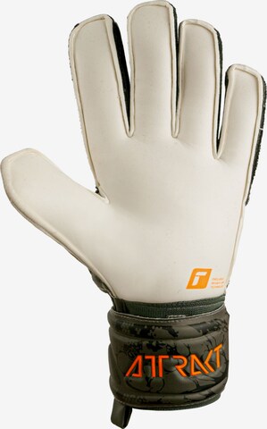 REUSCH Athletic Gloves 'Attrakt Grip' in Mixed colors