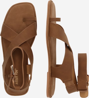 ABOUT YOU Sandalen met riem 'Stina' in Bruin