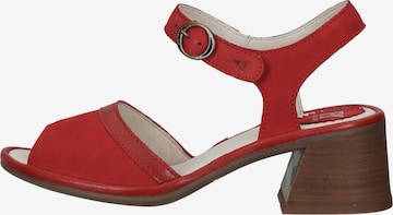 FLY LONDON Strap Sandals in Red