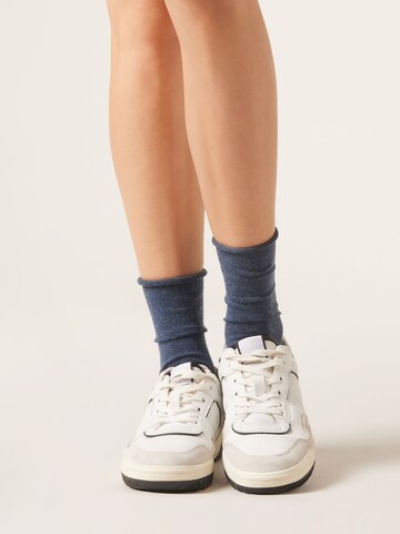 CALZEDONIA Socks in Blue