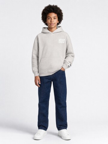 Petrol Industries Sweatshirt in Grijs
