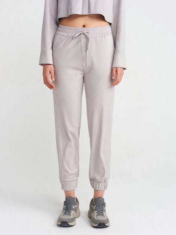 Effilé Pantalon Dilvin en gris