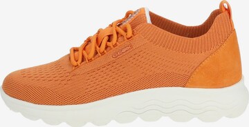 Sneaker bassa 'Spherica' di GEOX in arancione