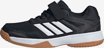 ADIDAS PERFORMANCE - Calzado deportivo ' Speedcourt' en negro: frente