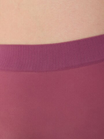 Collant 'PENTI Golden Micro 40 Strumpfhose' Penti en violet
