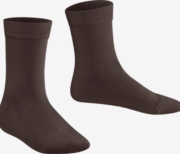 FALKE Socks 'Family' in Brown: front