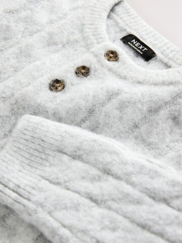 Next - Jersey en gris