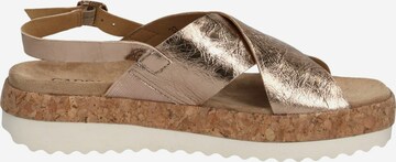 CAPRICE Sandalen met riem in Brons