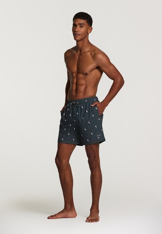 Shiwi Zwemshorts 'puffin 4-way stretch' in Groen