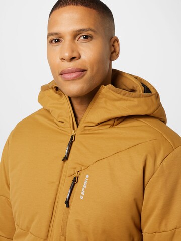 ICEPEAK Athletic Jacket 'DAX' in Brown