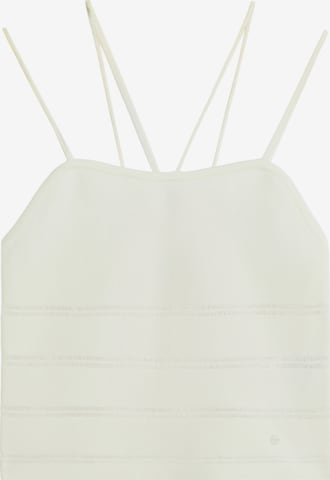 smėlio Scalpers Triko ' ': priekis