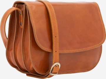 Sac à bandoulière Viola Castellani en marron : devant