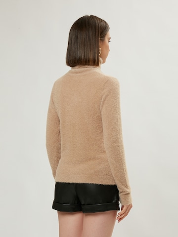 Influencer Pullover in Beige