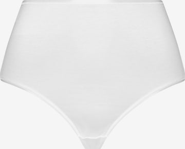 Hanro Panty 'Cotton Seamless' in White: front